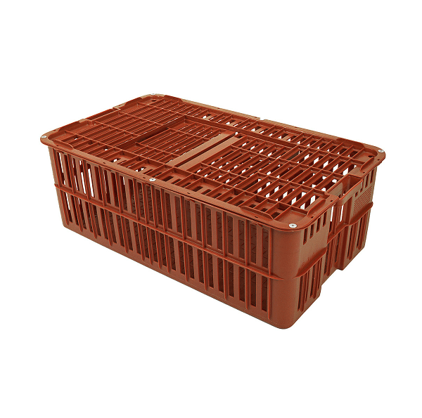Poultry transport box